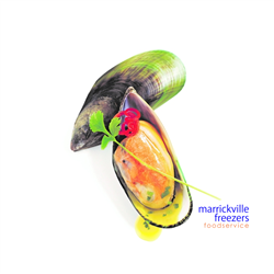 Mussel Half Shell NZ Large Talleys 1kg