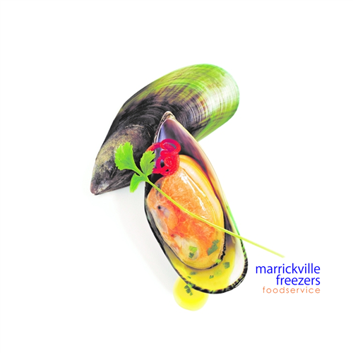 Mussel Half Shell NZ Large Talleys 1kg