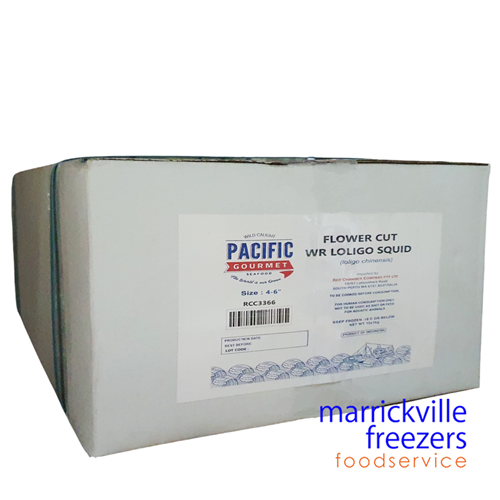 Squid Loligo Flower Cut 4